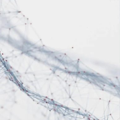 Accurate and Quick Installation For IT Services